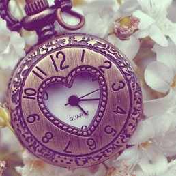 ������, ������, 48 ���