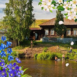 �������, �������, 43 ����