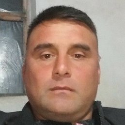 , , 43 