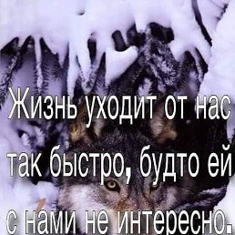 �������, �����-���������, 46 ���