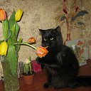 ���� �����, ���������, 52 ���� - ��������� 3 ������� 2023 � ������ ���� ����������