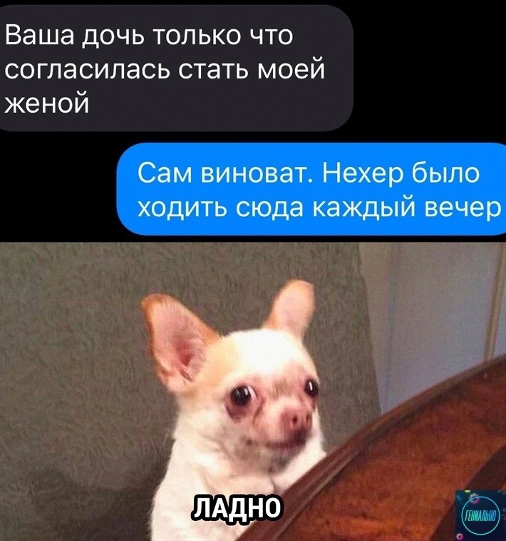 paeo. genius