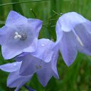 ���� ���������, ������, 41 ��� - ��������� 20 ������� 2023 � ������ ���� ����������