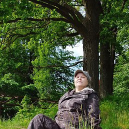 �����, �������, 40 ���