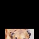 ���� ����, ��������, 39 ��� - ��������� 10 ������� 2023