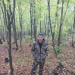 �������, ���������, 41 ���