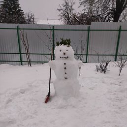 �����, �����, 44 ����