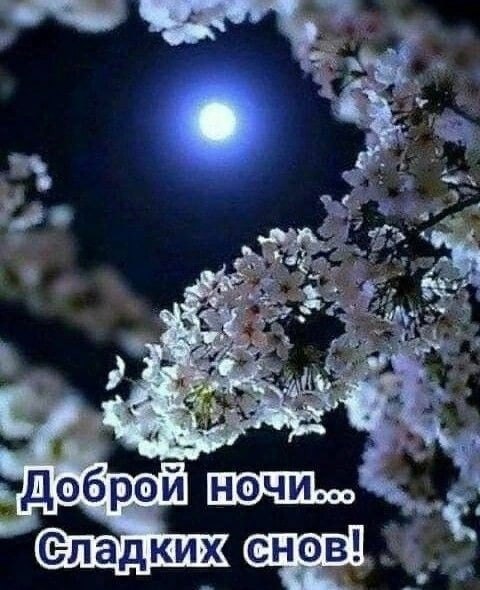   ,    . - 9  2023  21:15