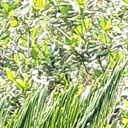 ����, �����-���������, 58 ���