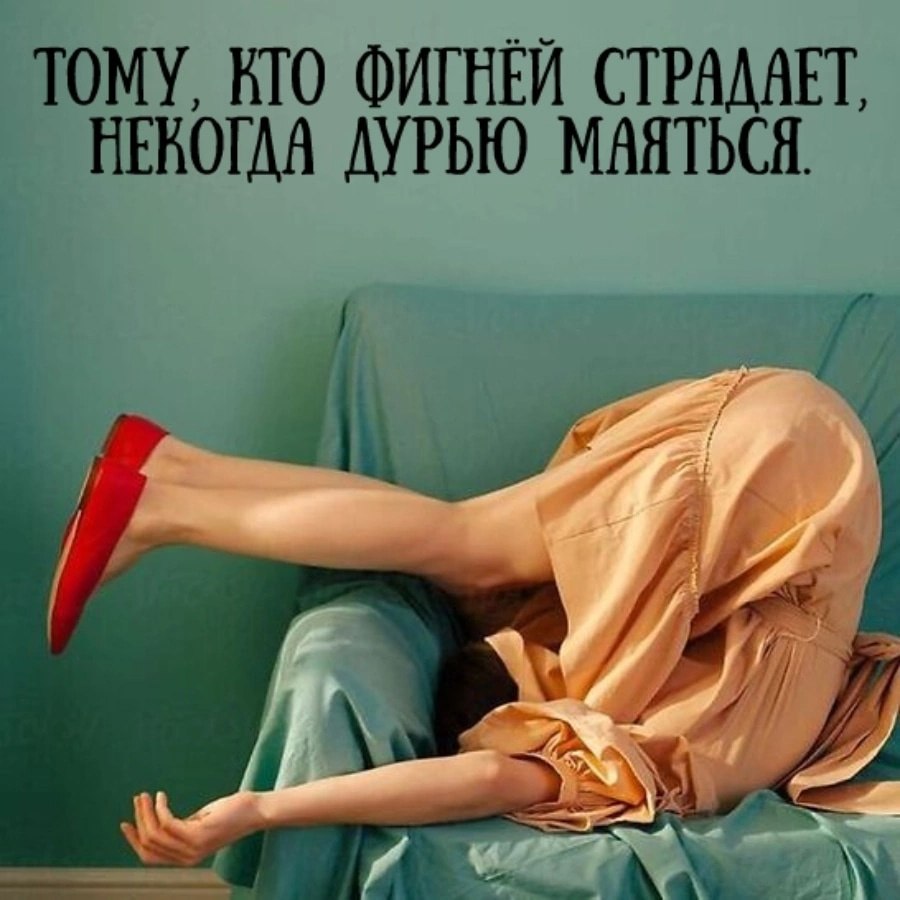 " ") - 19  2023  08:33