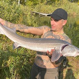 �����, ������ ��������, 39 ���