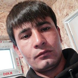 �������� ����, ����������, 23 ����