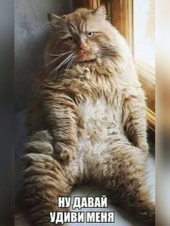  :     . !