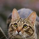 ���� �������, ������, 29 ��� - ��������� 9 �������� 2023