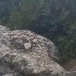 Demrr, �����������, 38 ���