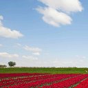 ���� ��������, �������, 49 ��� - ��������� 11 ���� 2023