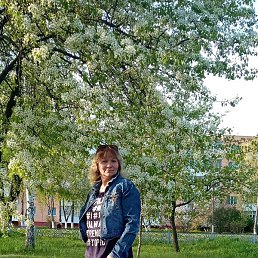 ����, �����, 50 ���