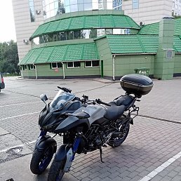 �������, �����������, 31 ���