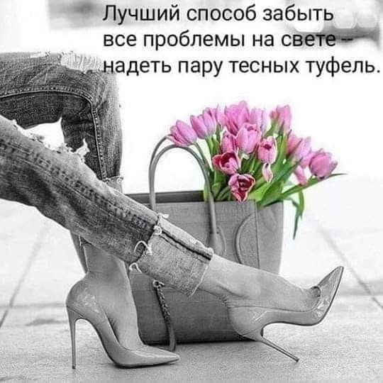   ,    . - 21  2023  18:53