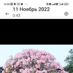  , , 52  -  2  2023