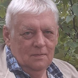 ����, ������, 65 ���