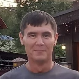 �����, ���������, 43 ����