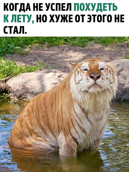   ,  !