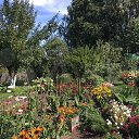 ���� ���������, �������, 50 ��� - ��������� 17 ������� 2023 � ������ ���� �������