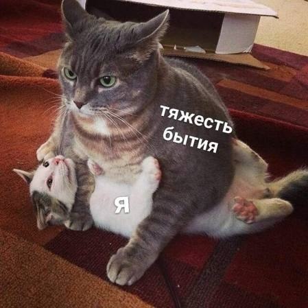    - 19  2023  17:31
