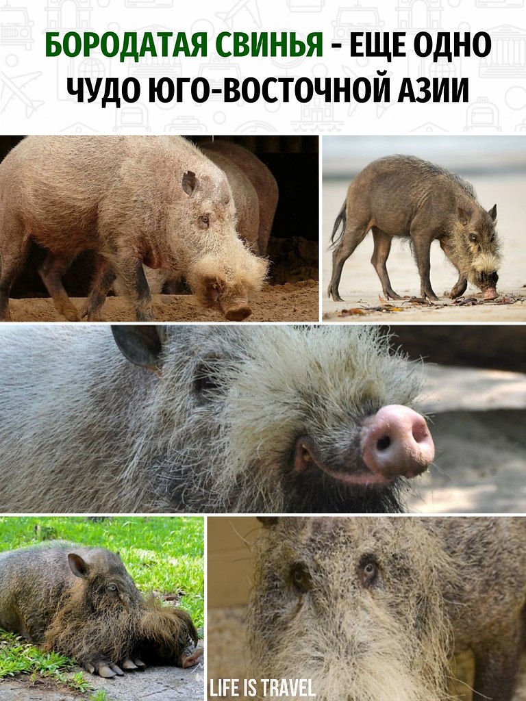 -  .      -    - . ...