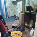 ���� ����, ���������, 55 ��� - ��������� 24 ������ 2023