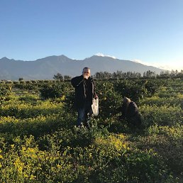 ���� ����, ������, 52 ���� - ��������� 11 ���� 2023