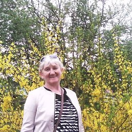 ����, ������, 58 ���