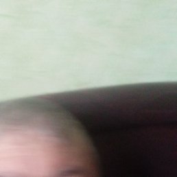 �����, �������, 38 ���