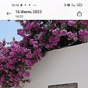 ���� �����, �������� - ��������� 23 ���� 2023 � ������ ���� ����������