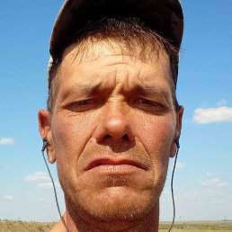 �������, ������, 46 ���