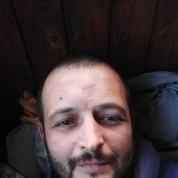 , 42, 