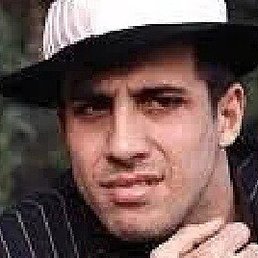 Nemo, �������, 37 ���