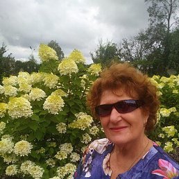 ����, �����, 70 ���