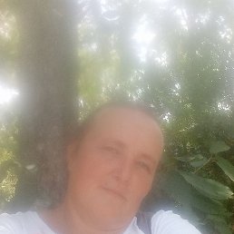 ������, �������, 50 ���