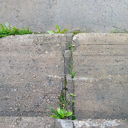 , , 26 