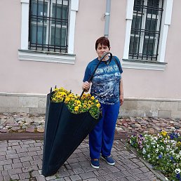 ��������, �����������, 53 ����