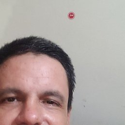 Ernestogaona, ������, 58 ���