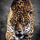 ���� ����, ���� - ��������� 22 ���� 2023 � ������ ������ ��������