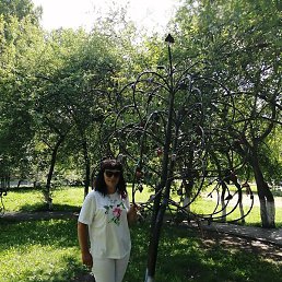 �����, ��������, 59 ���