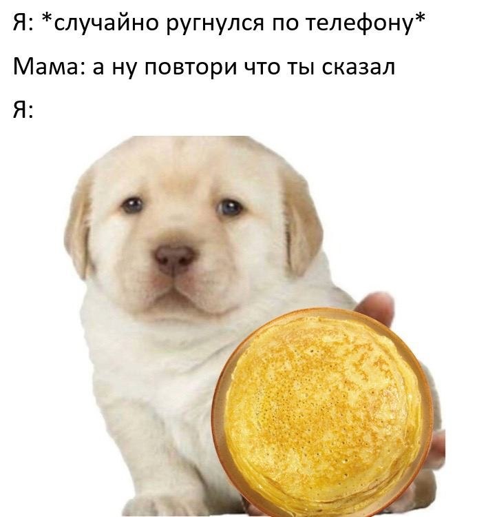   - 6  2023  13:25