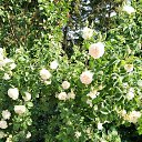 ���� �����, ������, 51 ��� - ��������� 30 ��� 2023