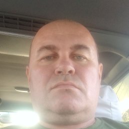 �������, �����, 53 ����