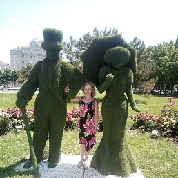 �����, ������������, 61 ���