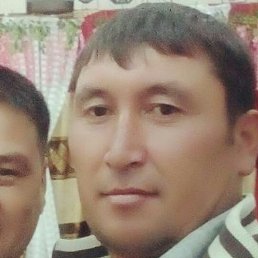 �����, �����, 44 ����